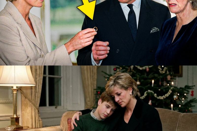 Diana Handed Charles Her Wedding Ring in Front of Camilla — No One Expected What Followed