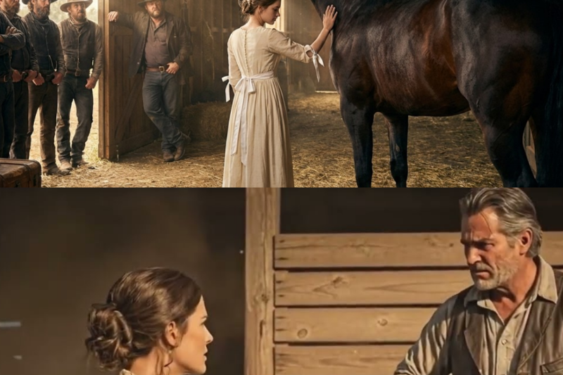 A Cowboy Got The Bride Nobody Wanted- She Knew More About Horses Than Any Man in the Territory