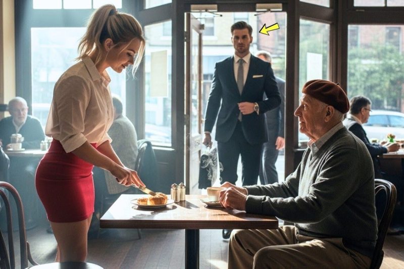 She helped an elderly man every day, until his grandson arrived with lawyers and changed everything…