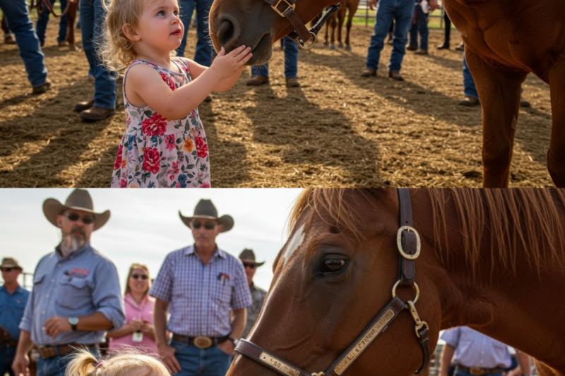 Little Girl Crashes Auction to Save Her Dad’s Horse… What Happened Next Shocked Everyone!