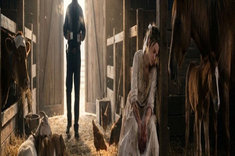 An Abandoned Bride Walked Into His Barn — By Morning Every Sick Animal Was Breathing Again