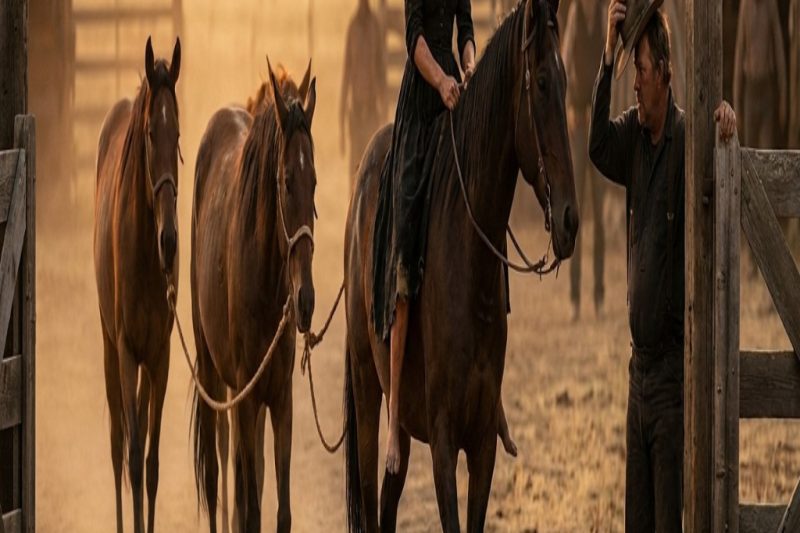 The Rancher Gave Up Hope on His Stolen Horses — A Widow Rode One Home a Month Later