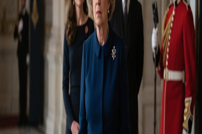 Princess Anne Stood Beside Kate When Camilla’s Son Crossed a Boundary — Royal Guard Saw Everything