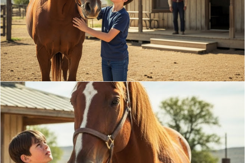 They Dumped a ‘Bad Kid’ With a DYING Horse… What That Horse Did For Him Left The Old Man In Tears