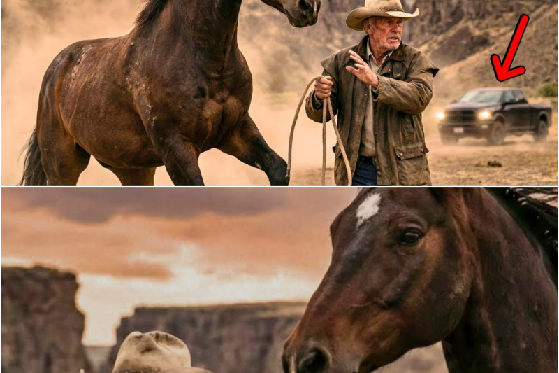 Championship Racehorse ABANDONED at Slaughterhouse… What happened Next Left Everyone STUNNED