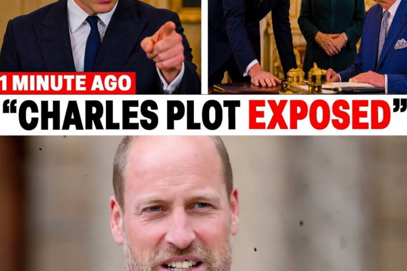 Prince William Reportedly Questions King Charles Over Royal Succession Discussions