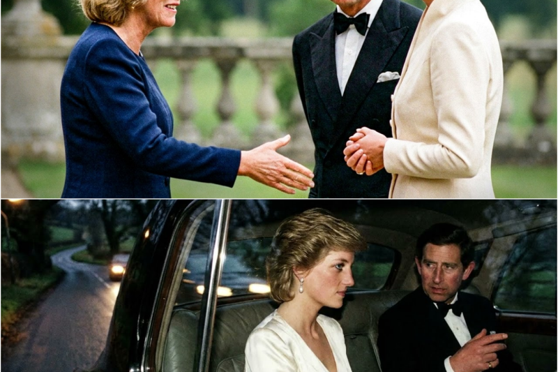 Princess Diana Ignored Camilla’s Hand in Front of Charles — No One Expected What Followed