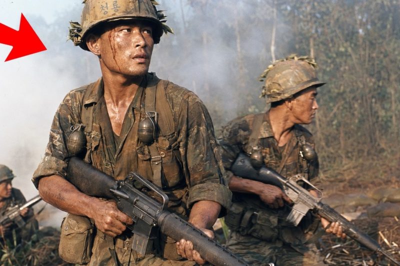 The Viet Cong Had a Standing Order: Never Fight the ROK Marines Unless Victory Was Certain