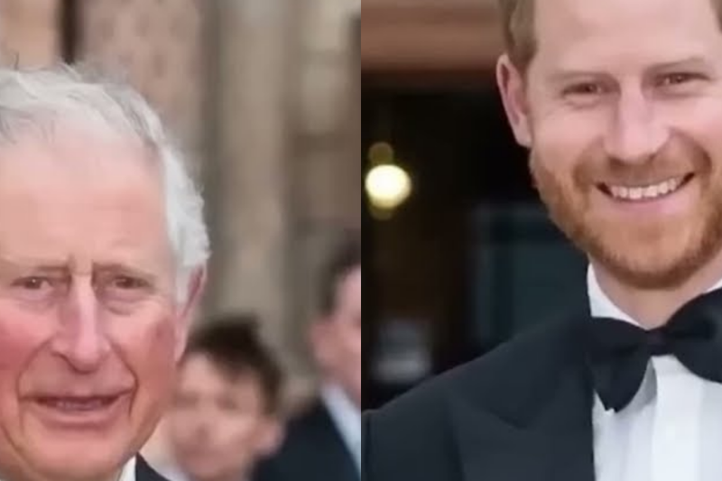 Meghan Markle’s Bizarre Photo Dump: A Calculated Move to Sabotage Prince Harry’s Solo Spotlight?