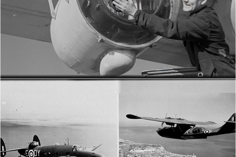 They Laughed at His “Stupid” Idea… Until It Sank 212 U-Boats & Saved 400,000 Lives