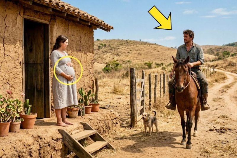 ELLA PENSABA QUE TENDRÍA AL BEBÉ SOLA EN LA CHOZA… HASTA QUE APARECIÓ UN GRANJERO VIUDO A CABALLO