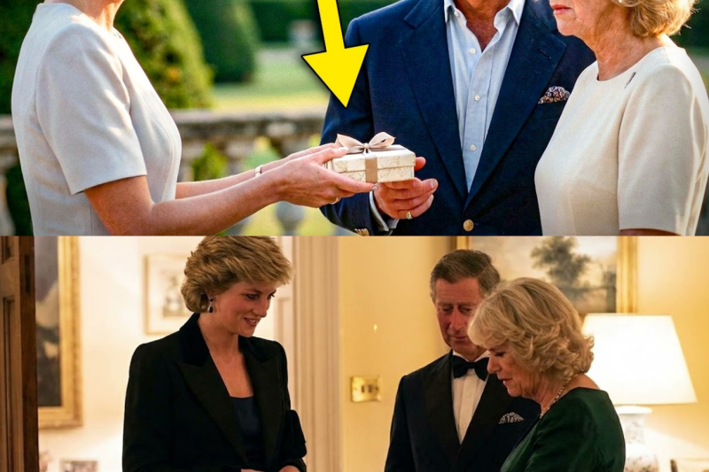 Diana Returned Charles’s Birthday Gift in Front of Camilla — No One Expected That