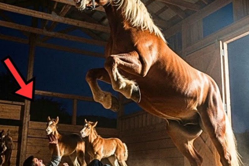 Thieves Try to Steal a Giant Mare’s Foals at Night… They Didn’t Expect Her Reaction