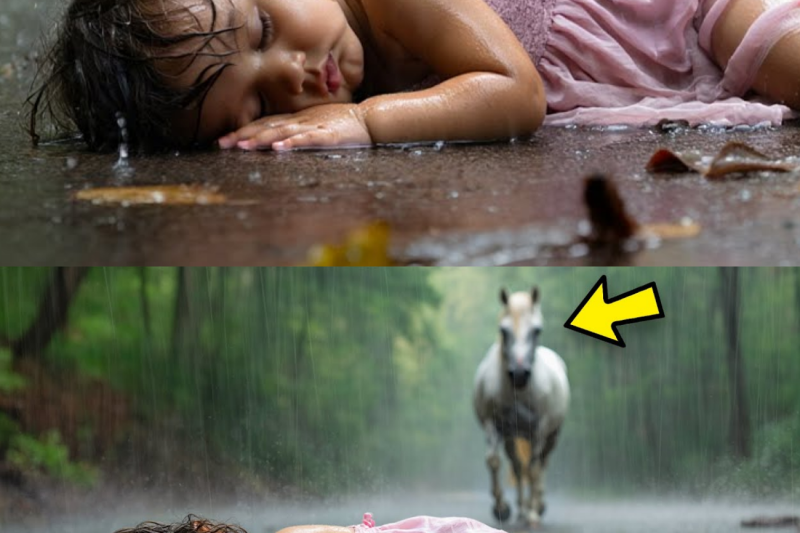 RICH MAN ABANDONS HIS DAUGHTER SHIVERING WITH FEVER IN THE FOREST, but what the HORSE does next…