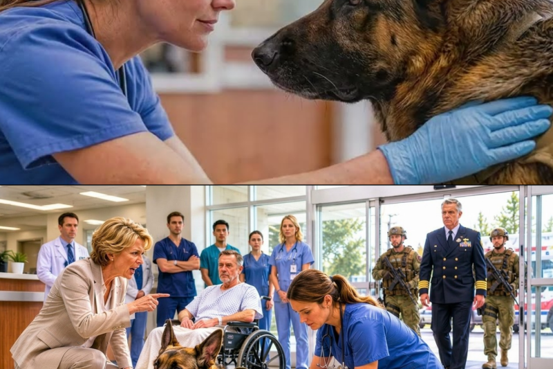They Fired a Nurse for Saving a Military K9… Then Navy SEALs Stormed the Hospital