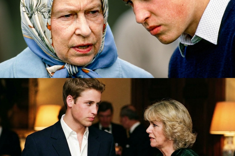 Queen Elizabeth’s BRUTAL Truth About Camilla Left William Devastated