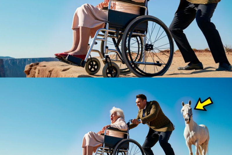 RICH SON PUSHES WHEELCHAIR MOM off the CLIFF, BUT THE HORSE SAW EVERYTHING and DOES SOMETHING…