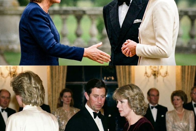 Princess Diana Ignored Camilla’s Hand in Front of Charles — No One Expected What Followed