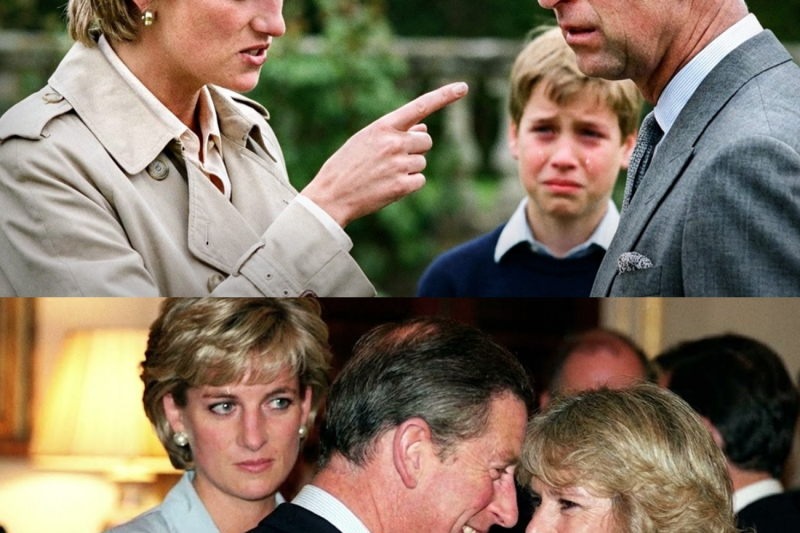 Princess Diana Heard William Crying After Talking to Charles — Her Response Terrified the Palace