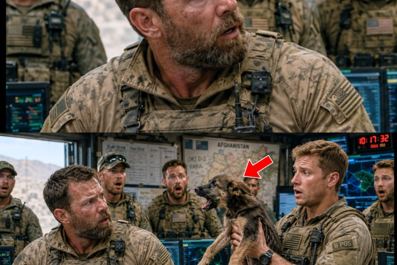 Rescued German Shepherd Pup at SEAL Base Keeps “Talking”—Try Not to Smile at His Funny Antics