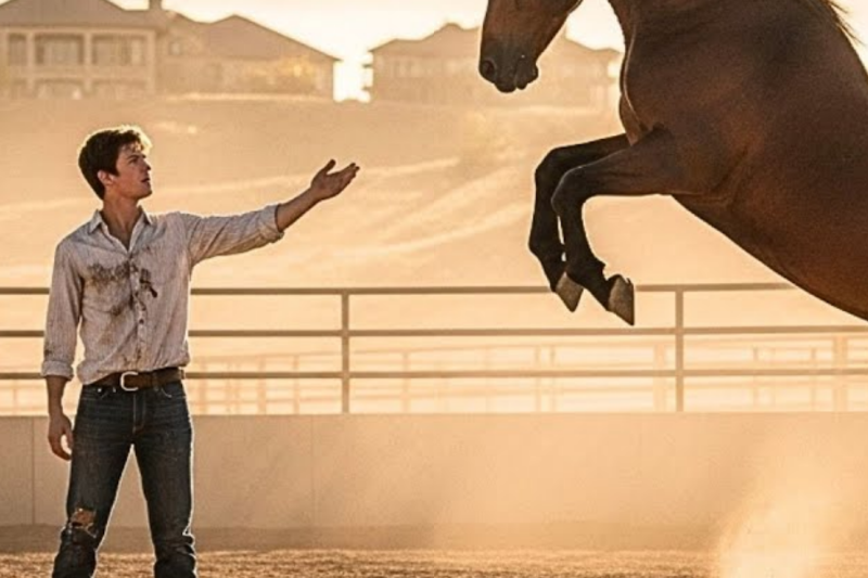 “Tame My Horse, Win My Fortune,” Said The Landowner To The Beggar, And Then…