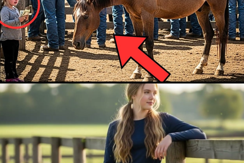 Village Girl’s Risky Bid on Unwanted Pregnant Mare Changes Everything