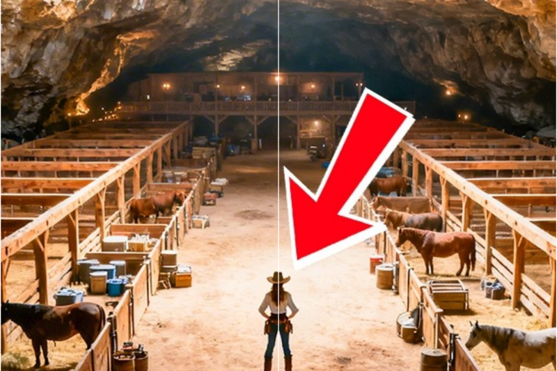 The Sheriff Took Her Land — She Disappeared Into the Mountains and Built a Hidden Ranch