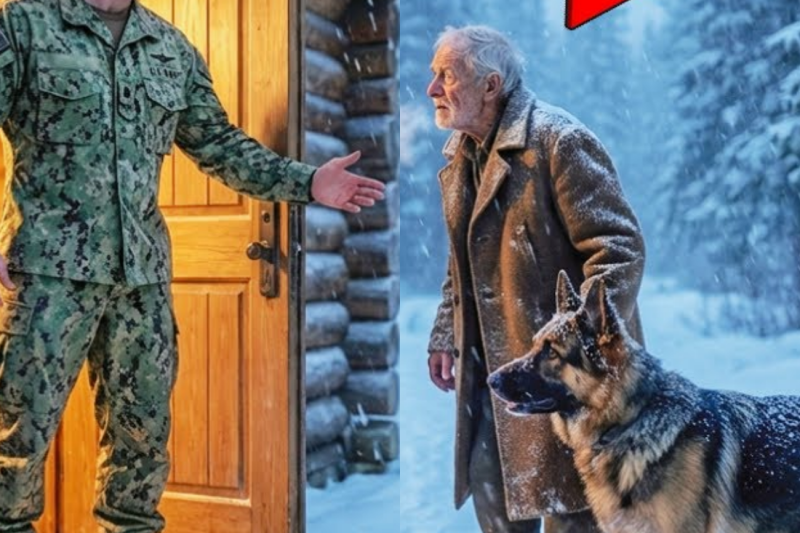 A Homeless Old Man & Dog Found a Cabin in a Blizzard — What This Navy SEAL Chose Changed Everything