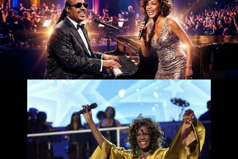 When Stevie Wonder Heard Whitney Houston’s True Greatness