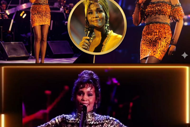 “Whitney Houston in POST-APARTHEID South Africa — The Concerts That Made History”