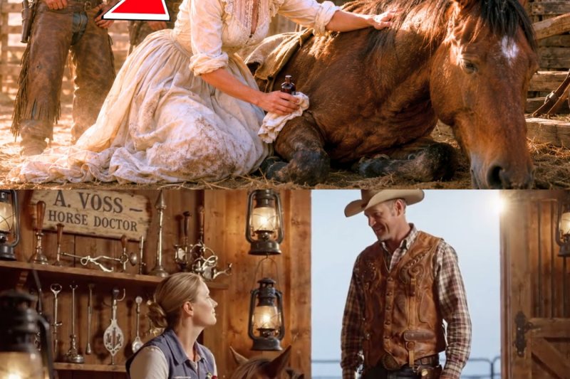 He Married Her for Her Pretty Hands — She Became the Best Horse Doctor in the County