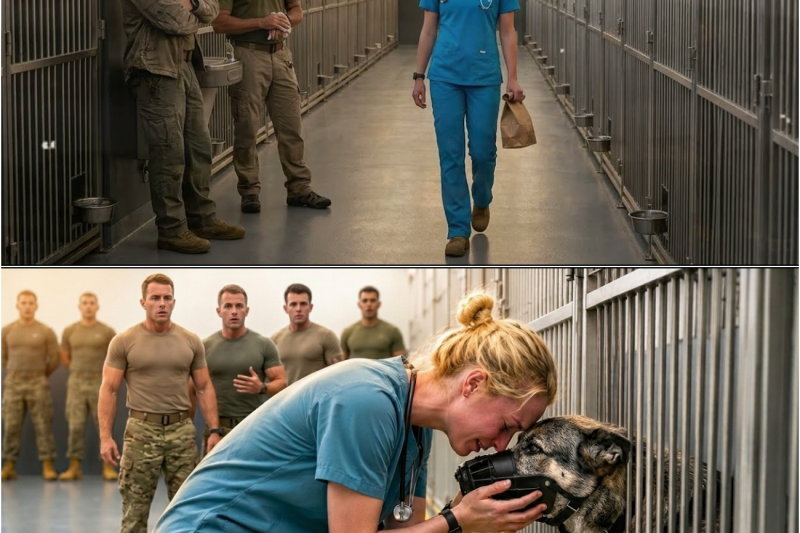 Suspended Nurse Returned to Save a SEAL’s K9 — The Dog Recognized Her Secret and Refused to Let Go