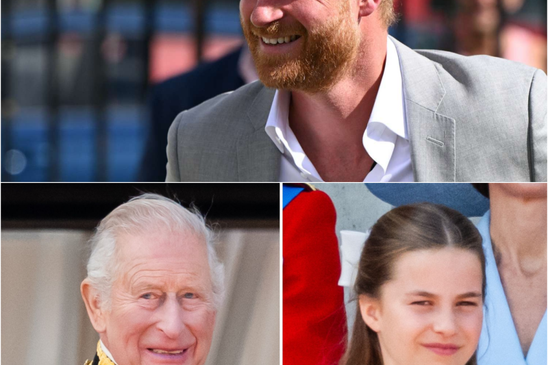 King Charles EXPOSES Harry’s Desperate Move Over The Kids
