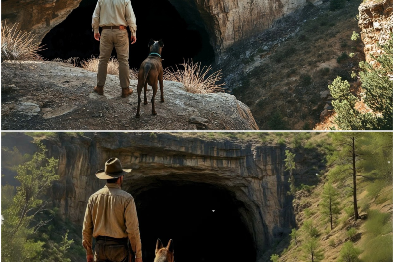 A Grieving Cowboy Inherited a Worthless Cave — What His Dog Found Inside Was Beyond Belief.