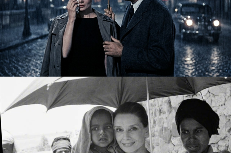 Audrey Hepburn Was Sobbing in Car When Cary Grant Knocked on the Window — What Said Lasted 27 Years