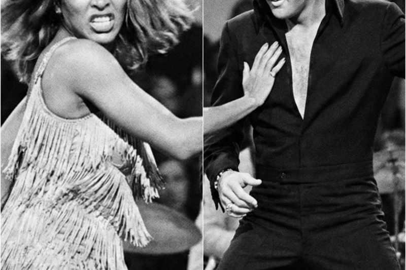 Tina Turner CHALLENGED Elvis to Keep Up With Her on Stage — What Happened Left the Arena BREATHLESS