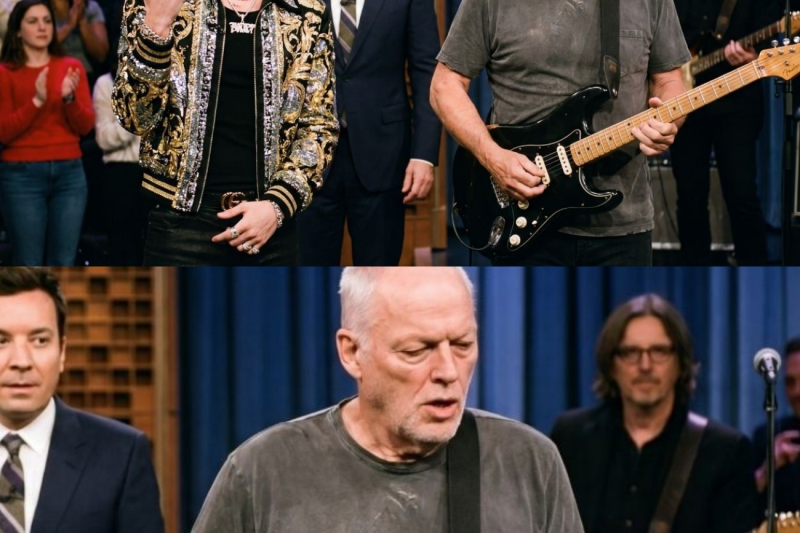 Pop Star Told David Gilmour Guitar Solos Are Dead’ on Live TV — What Happened Next Left Him in TEARS