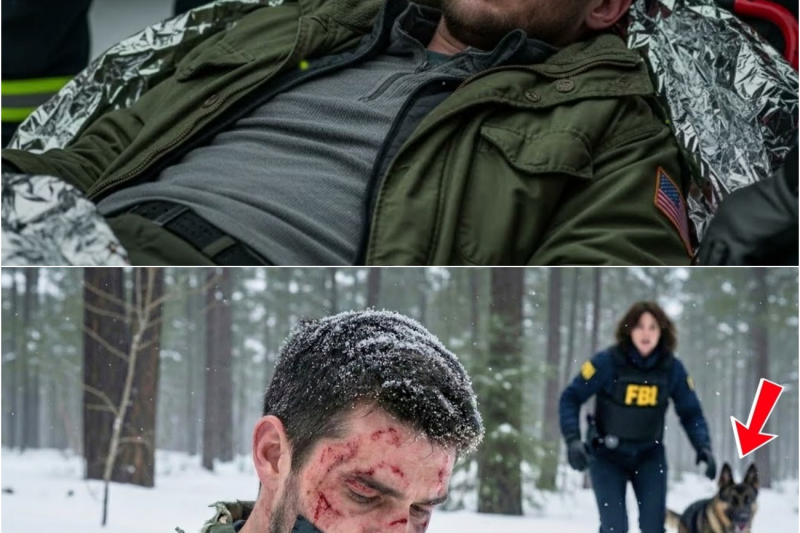 A Female FBI And German Shepherd Found A Buried Navy SEAL—What Happened Next Shocked Everyone
