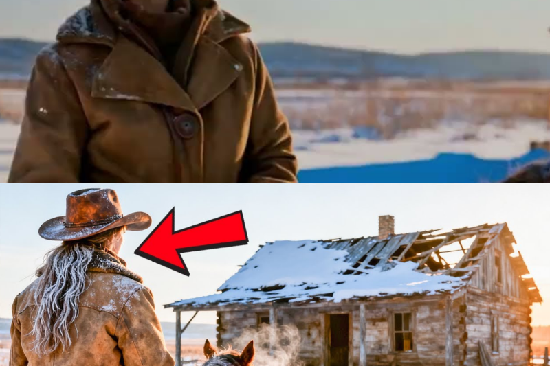 They Laughed When The Cowgirl Bought an Old Cabin for $1 — Until the 5-day Blizzard Came
