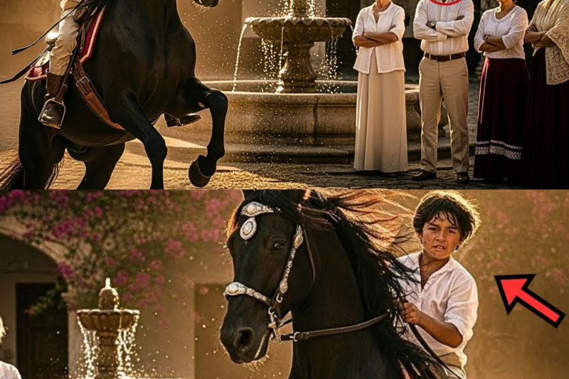Grandpa Leaves $1M Inheritance on One Condition: ‘Only If the Boy Tames My Horse’— Family Speechless