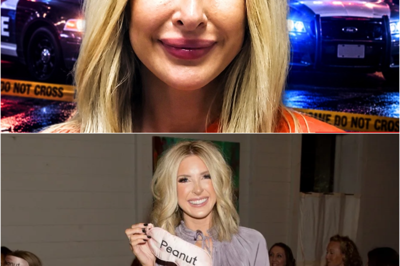The Legal Gamble: Why Lindsie Chrisley is Fighting to Suppress All Evidence in Her High-Stakes DUI Case