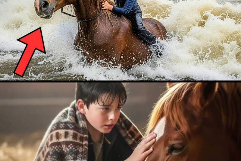 Pregnant Mare Is Dragged By A Current… A Child Jumps Into The River And What Happens Next…