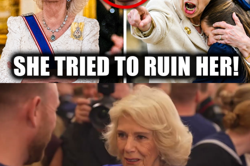 Princess Anne JUST Saves Charlotte From Camilla’s BIGGEST Trap—Ultimate REVENGE Is Brutal!