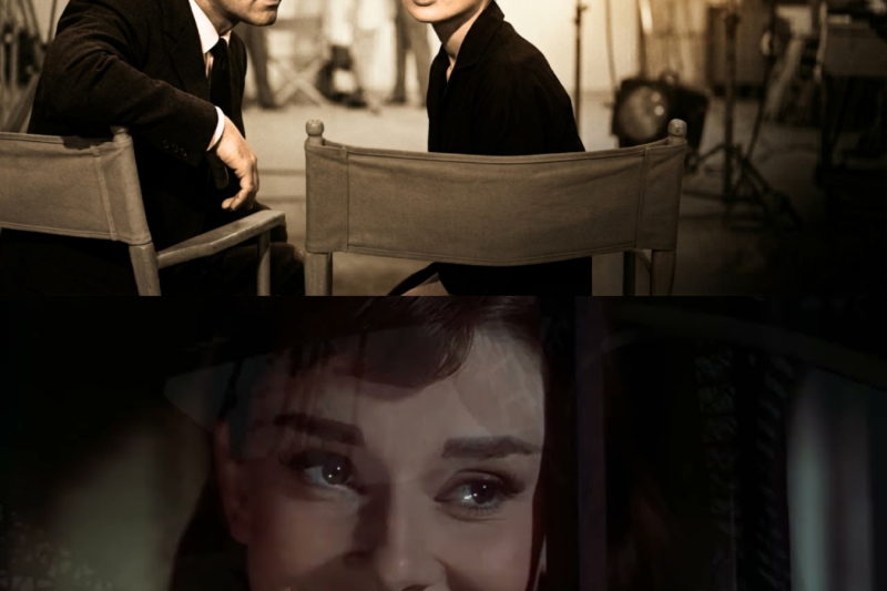 Audrey Hepburn Watched Stanley Donen Ask 7 Words — 10 Years Later She Called It Her Greatest Gift