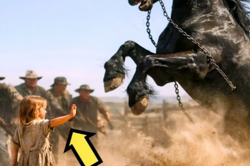 5 COWBOYS FAILED TO TAME THE WILD HORSE… BUT THE POOR GIRL…