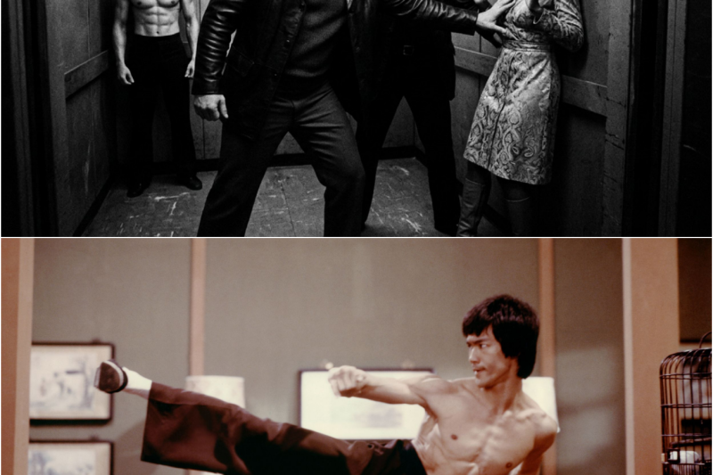 Two Men Tried to Rob Tina Turner in an Elevator — They Didn’t Know Bruce Lee Was Standing Behind He