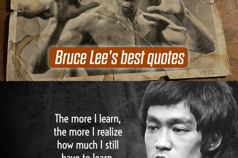 Not Everyone Understands This! These Words of Bruce Lee Will Profoundly Affect You!