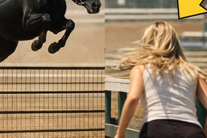 This Horse Lost Control When He Saw a Girl — What Happened Next Left His Owner Speechless