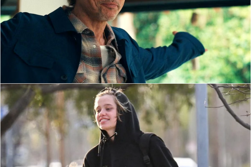 The Anatomy of a Broken Dynasty: Inside Brad Pitt’s Bitter Post-Divorce Reality and the Silent Erasure of a Hollywood Legacy
