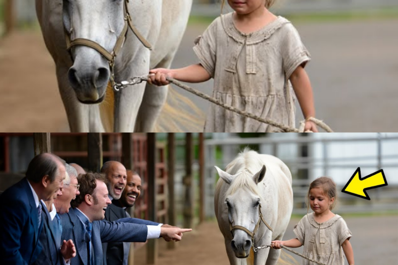 RICH MAN LAUGHED at the POOR GIRL for buying a USELESS HORSE, but was SHOCKED when…